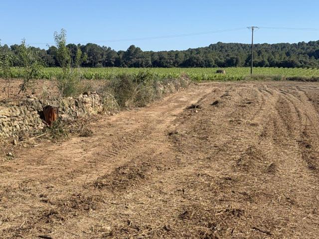 Finca Rústica Venta Tarragona