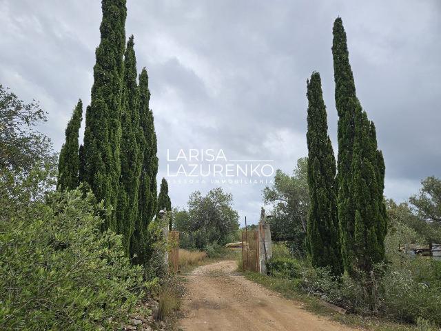 Finca Rústica Venta Tarragona