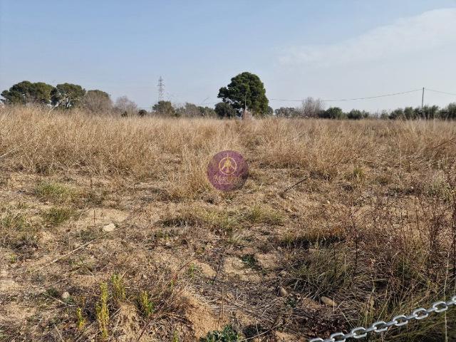 Finca Rústica Venta Tarragona