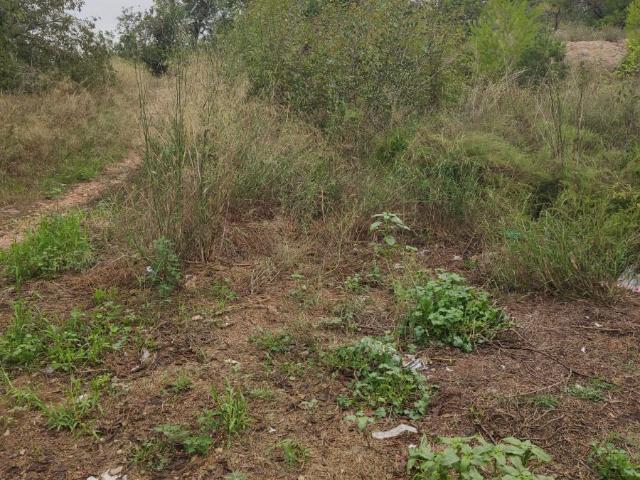 Finca Rústica Venta Tarragona