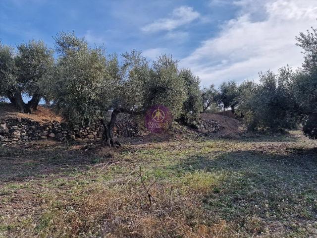 Finca Rústica Venta Tarragona