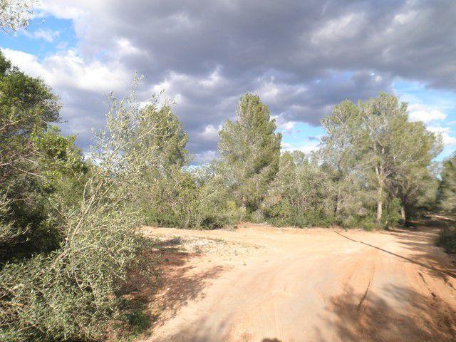 Finca Rústica Venta Tarragona