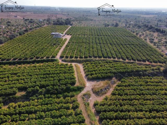 Finca Rústica Venta Tarragona