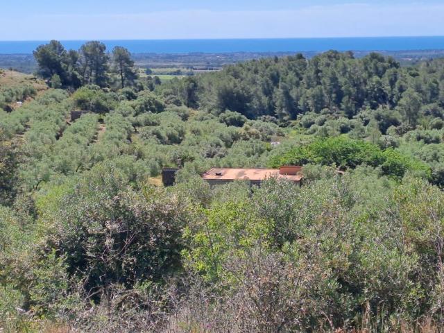 Finca Rústica Venta Tarragona
