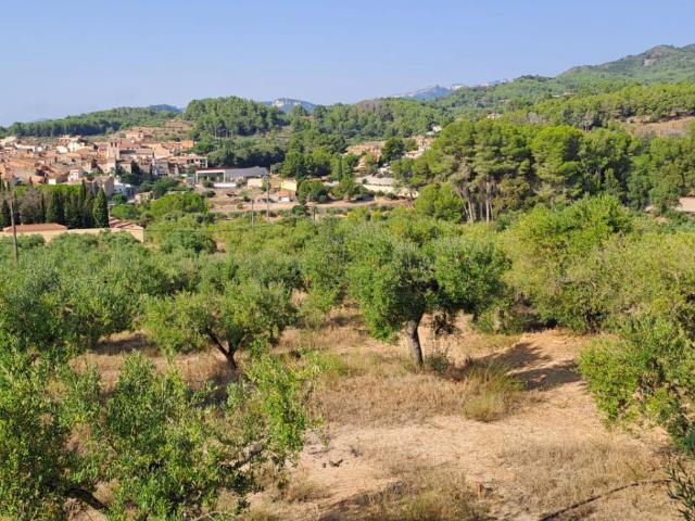 Finca Rústica Venta Tarragona
