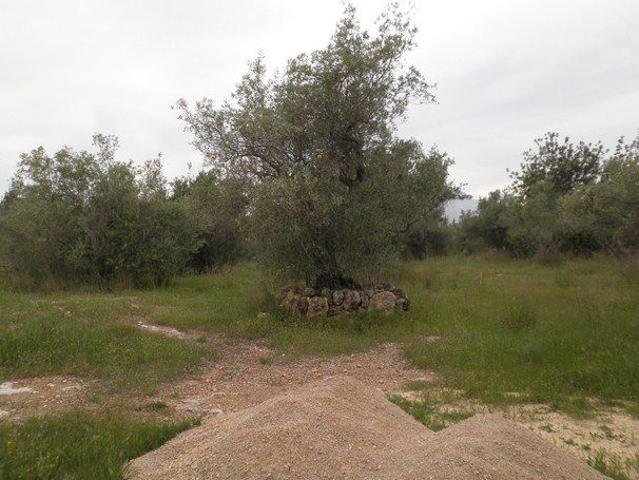 Finca Rústica Venta Tarragona