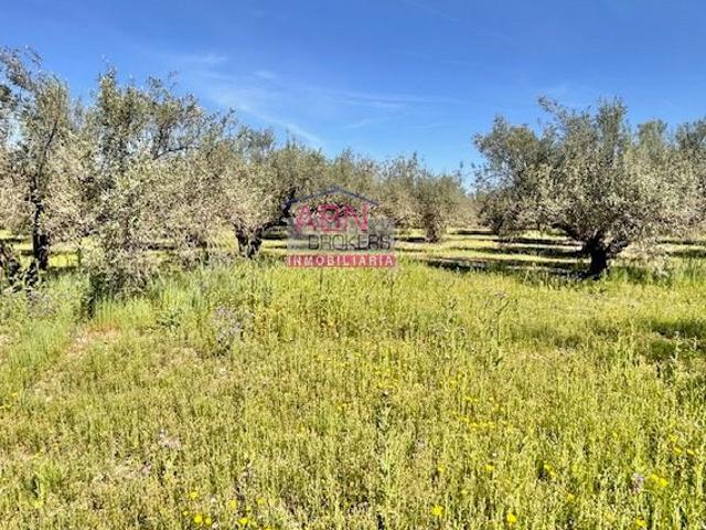 Finca Rústica Venta Valencia