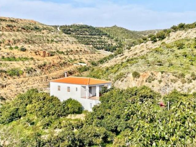 Finca rústica Venta Vélez Málaga, Área de Triana Cabrillas Trapiche