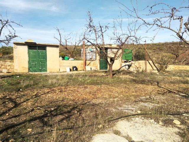 FINCA RÚSTICA 110.000 M2 CON PRODUCCIÓN EN PADUL