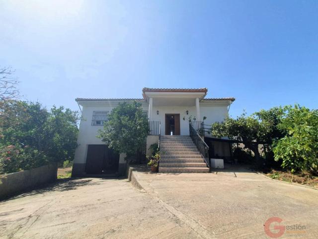 Finca Rustica 240 m² en Lecrín, Granada 240m² Lecrin