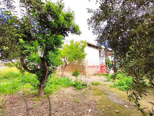 ? Finca rústica 21.880 m2 entre Elche y Santa Pola, divisible en 2 parcelas con opción de construir