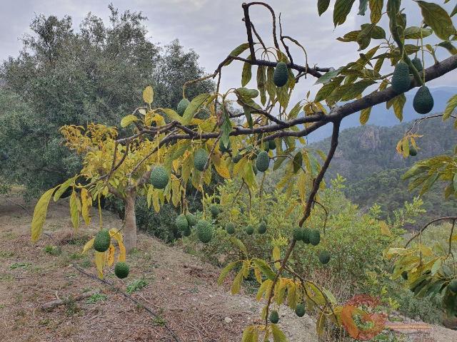 Finca Rustica 50 m² en Guájar Alto, Granada 50m² Guájar Alto