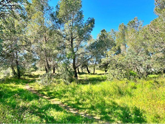 Finca Rustica