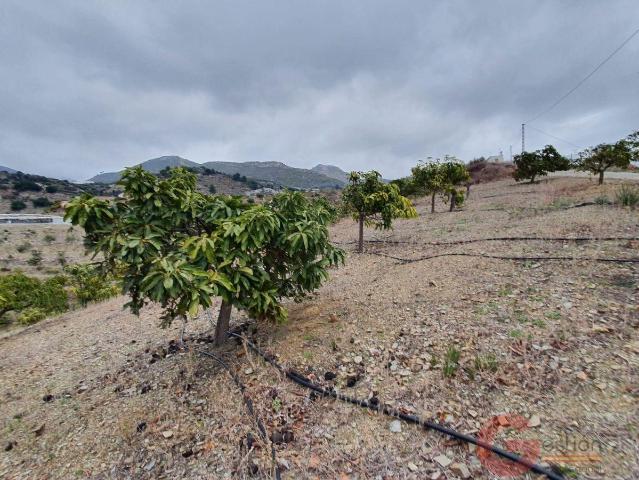 Finca Rustica 92 m² en Itrabo, Granada 92m² Ítrabo