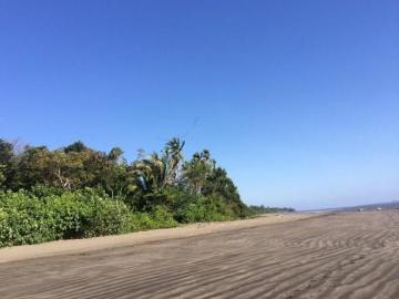 Venta de Finca en Santa Catalina, 25 hectáreas