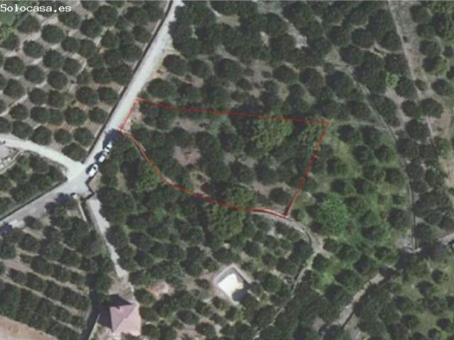Finca subtropicales en Lobres
