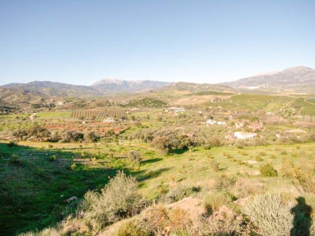 Finca/Casa Rural en venta en Coín, Málaga