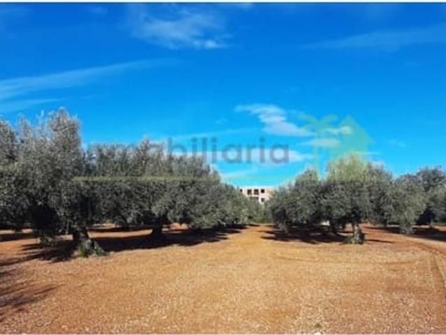 Finca/Casa Rural en venta en Càlig, Castellón Costa Azahar