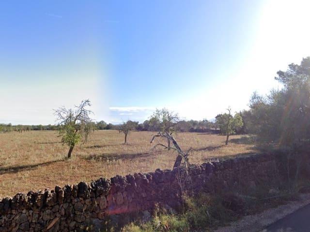 Finca/Casa Rural en venta en Campos, Mallorca