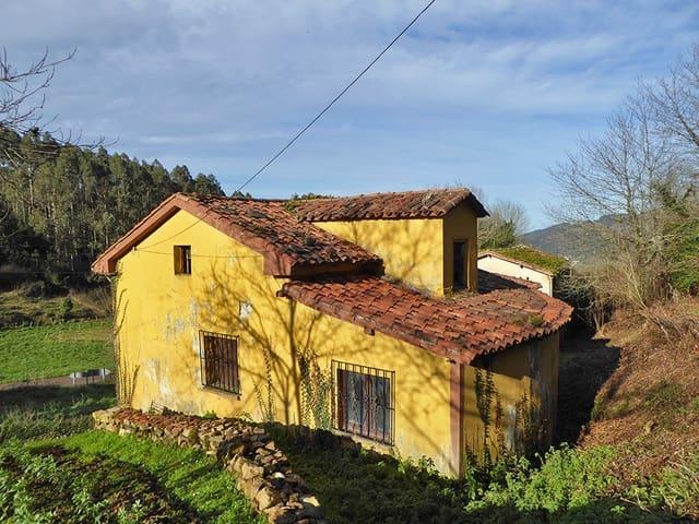 Finca/Casa Rural en venta en Candamo, Asturias