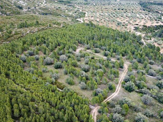 Finca/Casa Rural en venta en Canet lo Roig, Castellón