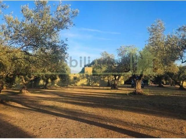 Finca/Casa Rural en venta en Canet lo Roig, Castellón