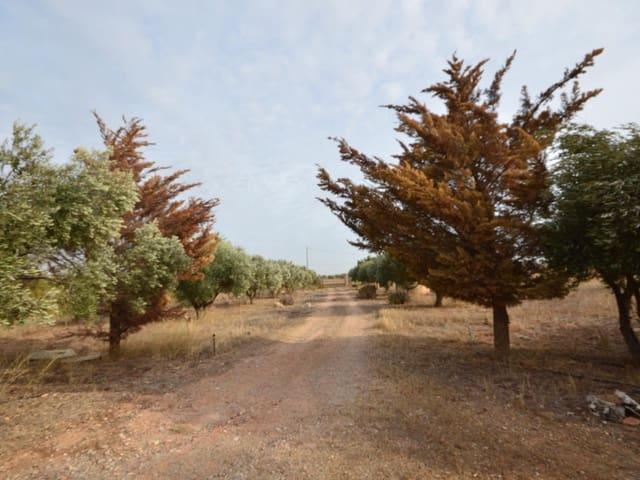 Finca/Casa Rural en venta en Cartagena, Murcia Costa Cálida
