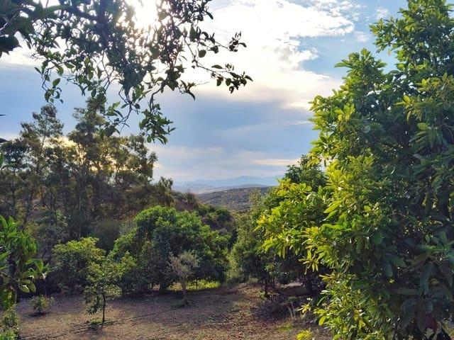 Finca/Casa Rural en venta en Casarabonela, Málaga