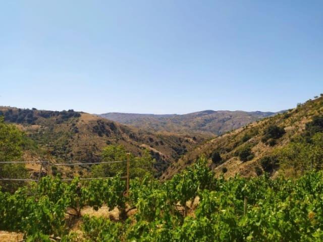Finca/Casa Rural en venta en Cástaras, Granada Costa Tropical