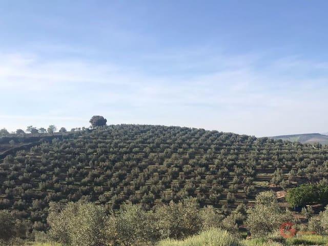 Finca/Casa Rural en venta en Castril, Granada
