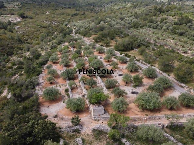 Finca/Casa Rural en venta en Cervera del Maestre / Cervera del Maestrat, Castellón