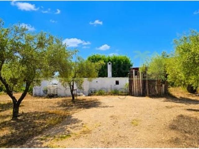 Finca/Casa Rural en venta en Cervera del Maestre / Cervera del Maestrat, Castellón