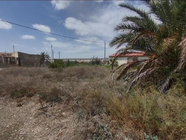Finca/Casa Rural en venta en Crevillente / Crevillent, Alicante