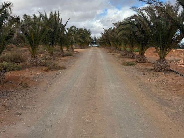Finca/Casa Rural en venta en Antigua, Fuerteventura