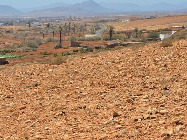 Finca/Casa Rural en venta en Antigua, Fuerteventura