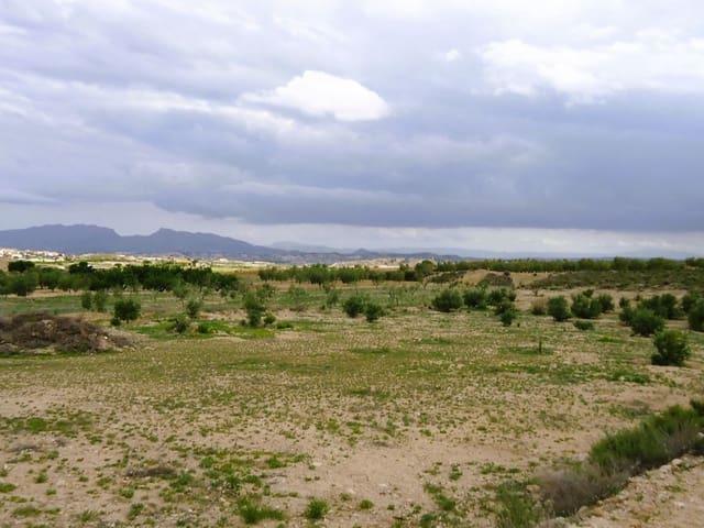 Finca/Casa Rural en venta en Abanilla, Murcia