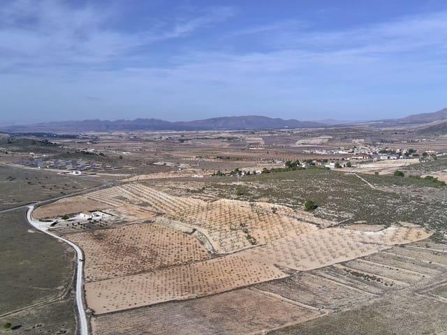 Finca/Casa Rural en venta en Abanilla, Murcia