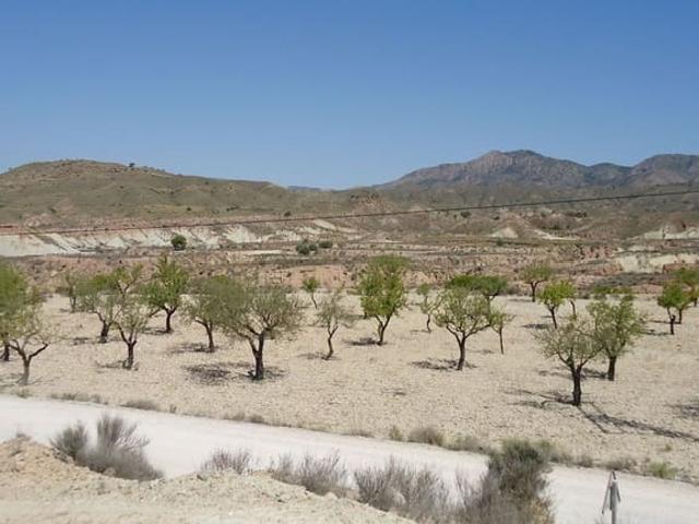 Finca/Casa Rural en venta en Abanilla, Murcia