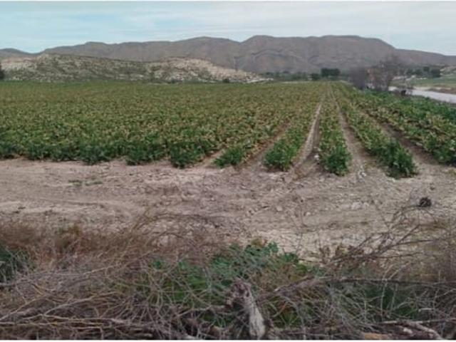Finca/Casa Rural en venta en Albacete, Albacete