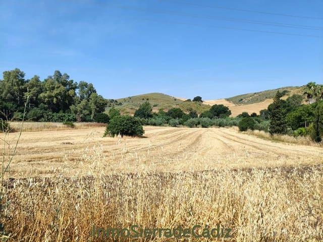 Finca/Casa Rural en venta en Algodonales, Cádiz