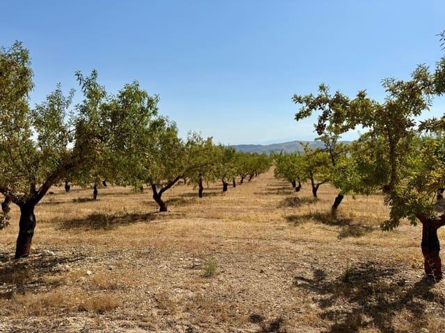 Finca/Casa Rural en venta en Alhama de Granada, Granada