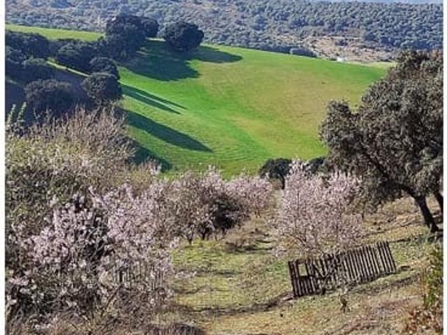 Finca/Casa Rural en venta en Alhama de Granada, Granada