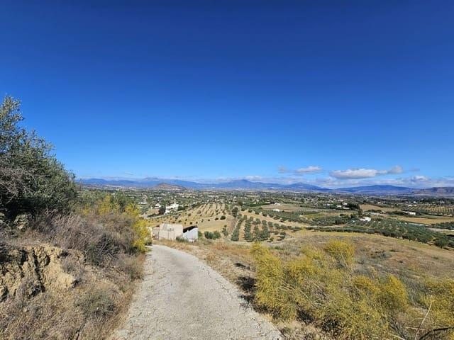 Finca/Casa Rural en venta en Alhaurín el Grande, Málaga Costa del Sol