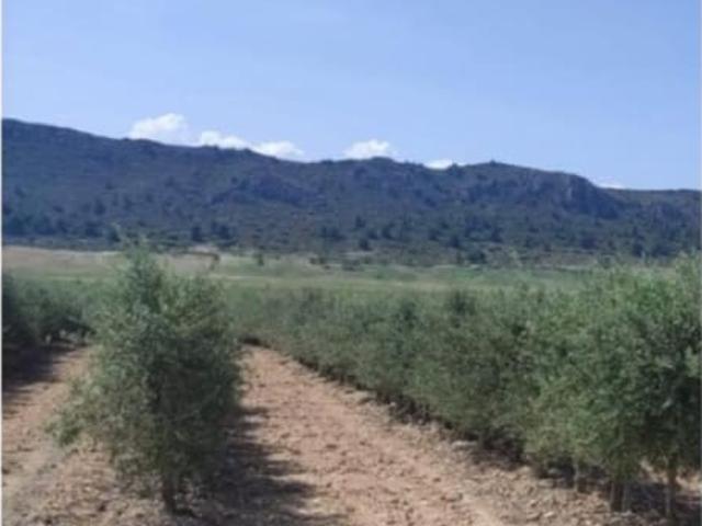 Finca/Casa Rural en venta en Alicante / Alacant, Alicante Costa Blanca