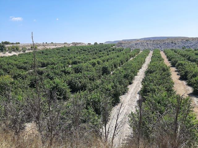 Finca/Casa Rural en venta en Alicante / Alacant, Alicante Costa Blanca