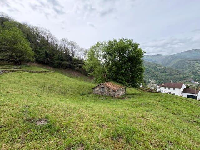 Finca/Casa Rural en venta en Aller, Asturias