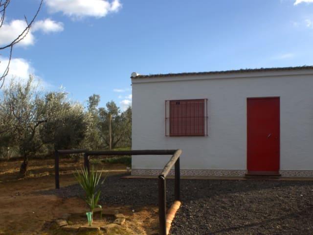 Finca/Casa Rural en venta en Almonte, Huelva