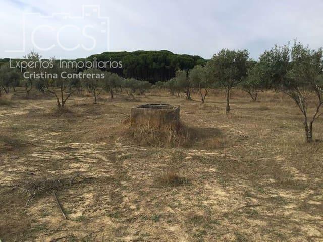 Finca/Casa Rural en venta en Almonte, Huelva