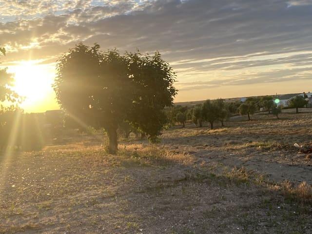 Finca/Casa Rural en venta en Almonte, Huelva