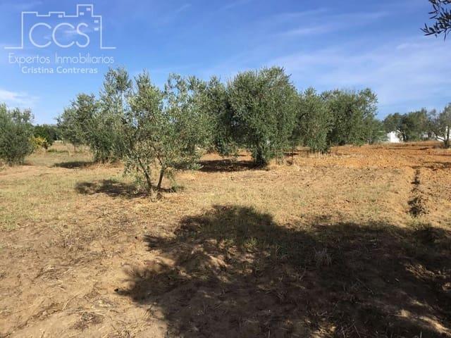 Finca/Casa Rural en venta en Almonte, Huelva